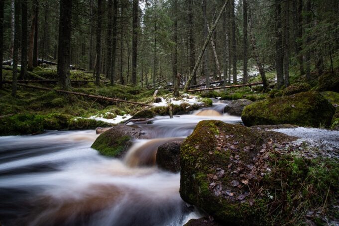 _DSC3635 Suuri